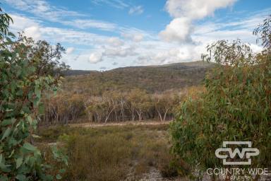 Lifestyle For Sale - NSW - Deepwater - 2371 - ‘Banksia Brae’ - Outstanding Lifestyle Opportunity (Image 2)
