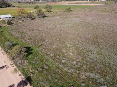 Mixed Farming For Sale - VIC - Nyah West - 3595 - Opportunity Awaits in Peaceful Nyah West (Image 2)