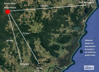 Other (Rural) For Sale - NSW - Bulga Forest - 2429 - YOUR ESCAPE FROM CITY LIGHTS  (Image 2)
