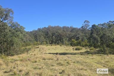 Other (Rural) For Sale - NSW - Bulga Forest - 2429 - YOUR ESCAPE FROM CITY LIGHTS  (Image 2)