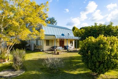 House For Sale - QLD - Brooloo - 4570 - Space to Grow, Room to Breathe.  (Image 2)