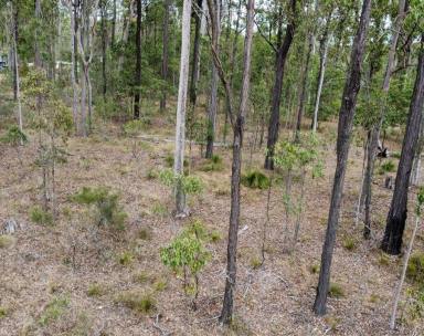 Residential Block For Sale - QLD - Glenwood - 4570 - The Perfect Rural Escape  (Image 2)
