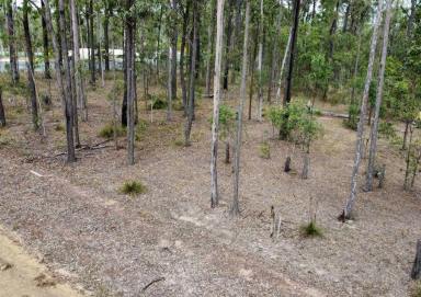Residential Block For Sale - QLD - Glenwood - 4570 - The Perfect Rural Escape  (Image 2)