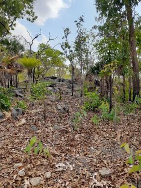 Residential Block For Sale - NT - Collett Creek - 0822 - 320 acres perfect for livestock Eco tourism or just to get off the grid and enjoy life (Image 2)