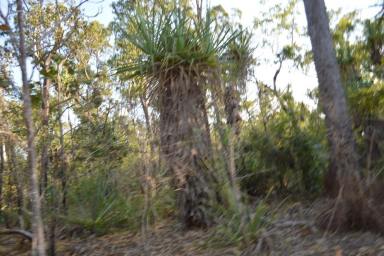 Residential Block Sold - NT - Manton - 0837 - Vacant Land Manton  (Image 2)