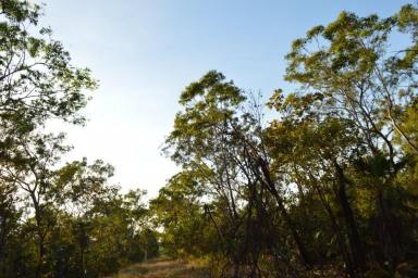 Residential Block Sold - NT - Manton - 0837 - Vacant Land Manton  (Image 2)