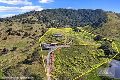 House For Sale - QLD - Kia Ora - 4570 - Huge Family Home, Stunning Views and Potential Income! (Image 2)