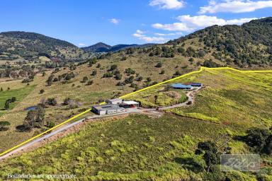 House For Sale - QLD - Kia Ora - 4570 - Huge Family Home, Stunning Views and Potential Income! (Image 2)