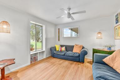 Acreage/Semi-rural For Sale - SA - Mundulla - 5270 - 49 Old Padthaway Road  (Image 2)