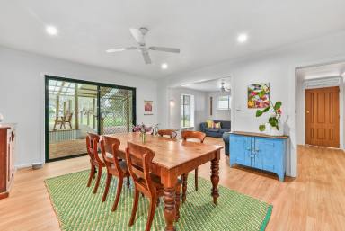 Acreage/Semi-rural For Sale - SA - Mundulla - 5270 - 49 Old Padthaway Road  (Image 2)