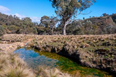 Lifestyle For Sale - NSW - Mudgee - 2850 - ADVENTURE AWAITS - WITH SEASONAL CREEK (Image 2)