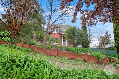 House For Lease - NSW - Albury - 2640 - Timeless Character Charm  (Image 2)