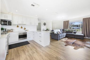 House For Sale - NSW - Tamworth - 2340 - Stylish, Practical & Ready to Call Home  (Image 2)