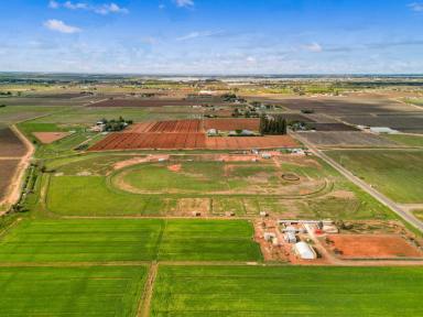 House For Sale - VIC - Merbein - 3505 - The Track Is Laid, the Yards Are Set, Now It's Your Turn (Image 2)