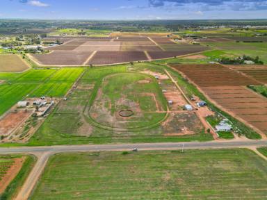 House For Sale - VIC - Merbein - 3505 - The Track Is Laid, the Yards Are Set, Now It's Your Turn (Image 2)
