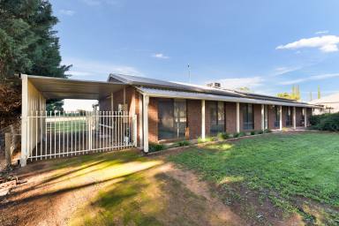 House For Sale - VIC - Irymple - 3498 - Where Family Living Meets Wide Open Space  (Image 2)