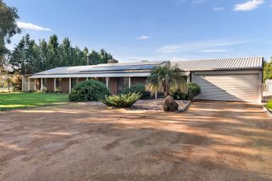 House For Sale - VIC - Irymple - 3498 - Where Family Living Meets Wide Open Space  (Image 2)