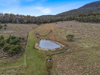 Residential Block For Sale - TAS - Bicheno - 7215 - Dam, Trees and Pasture  (Image 2)