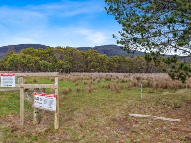 Residential Block For Sale - TAS - Bicheno - 7215 - Dam, Trees and Pasture  (Image 2)