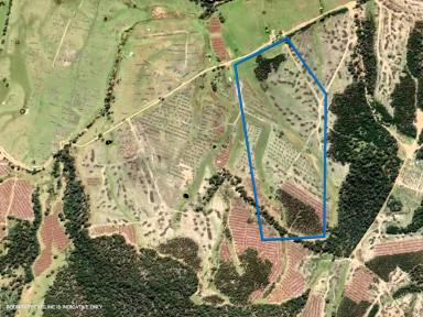 Residential Block For Sale - TAS - Bicheno - 7215 - Dam, Trees and Pasture  (Image 2)