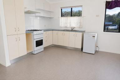 Studio For Sale - NSW - Drake Village - 2469 - Big Block Living with a Modern Tiny Home (Image 2)