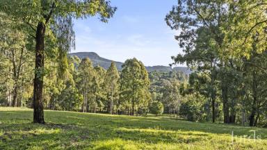 Lifestyle For Sale - NSW - Mount Vincent - 2323 - Build Your Dream Country Escape – 25 Acres with Stunning Mountain Views  (Image 2)