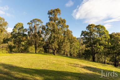 Lifestyle For Sale - NSW - Mount Vincent - 2323 - Build Your Dream Country Escape – 25 Acres with Stunning Mountain Views  (Image 2)