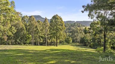 Lifestyle Sold - NSW - Mount Vincent - 2323 - Build Your Dream Country Escape – 25 Acres with Stunning Mountain Views  (Image 2)