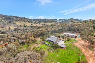 Lifestyle For Sale - NSW - Mudgee - 2850 - A VIEW WORTH COMING HOME TO  (Image 2)