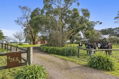 House For Sale - VIC - Chocolyn - 3260 - Rural Lifestyle Living on 7 Acres  (Image 2)