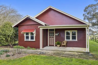 House For Sale - VIC - Chocolyn - 3260 - Rural Lifestyle Living on 7 Acres (Image 2)