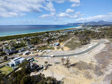Residential Block For Sale - TAS - Scamander - 7215 - Build Where Every Day Feels Like a Holiday.  (Image 2)