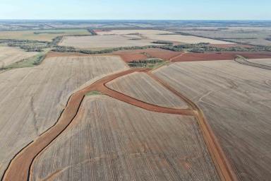 Mixed Farming For Sale - QLD - Inglestone - 4422 - Large-Scale Cropping & Grazing in the Western Downs Feedlot Corridor  (Image 2)
