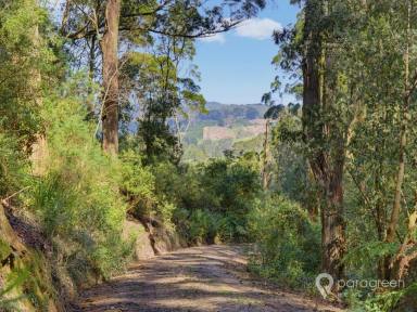 House For Sale - VIC - Turtons Creek - 3960 - Hidden Off-Grid Gem in the Hills of Turtons Creek  (Image 2)