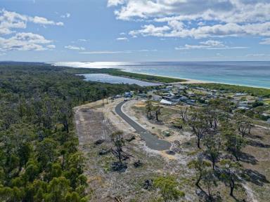 Residential Block For Sale - TAS - Scamander - 7215 - Life's Better by the Coast  (Image 2)