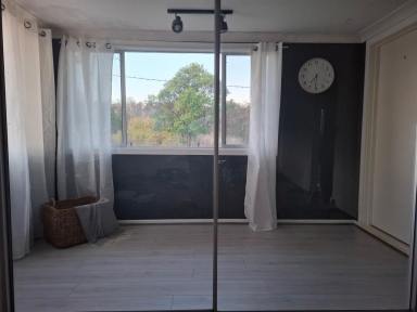 House For Sale - NSW - Inverell - 2360 - Ideal Family Home or First Home  (Image 2)