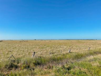 Residential Block For Sale - VIC - Cannie - 3540 - For Sale by Expression of Interest  (Image 2)