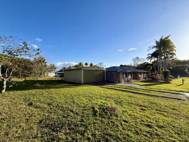 House For Lease - QLD - Cooroy - 4563 - Spacious Family Home in the Heart of Cooroy  (Image 2)
