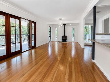 House For Sale - QLD - Macleay Island - 4184 - Acreage Living, Island Style  (Image 2)