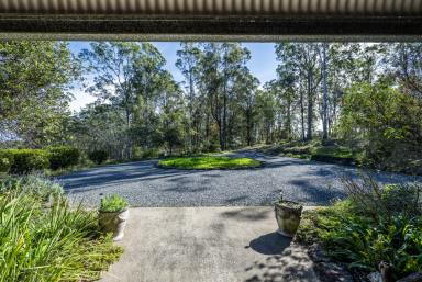 Lifestyle For Sale - NSW - Upper Copmanhurst - 2460 - CATHEDRAL CEILINGS, A LOFT BEDROOM & 36 PRIVATE ACRES (Image 2)