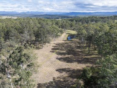 Lifestyle For Sale - NSW - Upper Copmanhurst - 2460 - A RARE BLEND OF RUSTIC CHARACTER & RURAL SPACE  (Image 2)