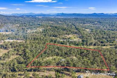 Lifestyle For Sale - QLD - Curra - 4570 - A COUNTRY ESCAPE WITH ROOM TO GROW!  (Image 2)