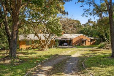 Acreage/Semi-rural For Sale - QLD - Narangba - 4504 - 8,237m² of Prime Land in Narangba's Emerging Growth Corridor (Image 2)