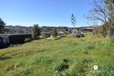 Residential Block For Sale - VIC - Beechworth - 3747 - Rare Beechworth Land in a Prime Spring Street Position  (Image 2)
