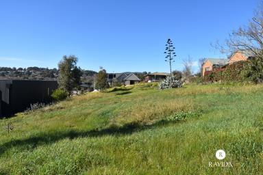 Residential Block For Sale - VIC - Beechworth - 3747 - Rare Beechworth Land in a Prime Spring Street Position  (Image 2)