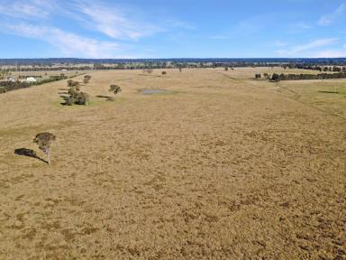Livestock For Sale - VIC - Hillside - 3875 - 142 ACRES – MOUNTAIN VIEWS  (Image 2)