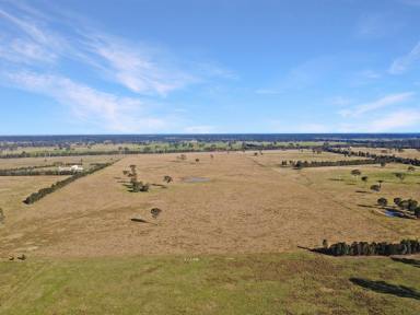 Livestock For Sale - VIC - Hillside - 3875 - 142 ACRES – MOUNTAIN VIEWS  (Image 2)