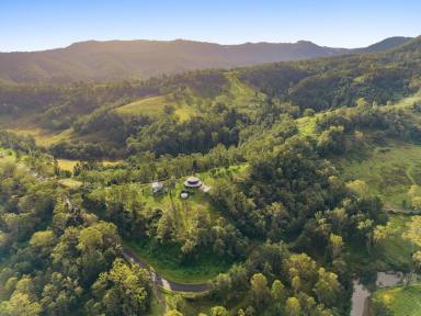 Acreage/Semi-rural For Sale - NSW - Gradys Creek - 2474 - Spectacular Lifestyle Property  (Image 2)