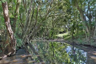 Acreage/Semi-rural For Sale - QLD - Kureelpa - 4560 - Premium Craftsmanship With Pristine Private Acreage (Image 2)