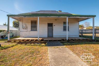 House For Sale - NSW - Deepwater - 2371 - Timeless Country Charm  (Image 2)